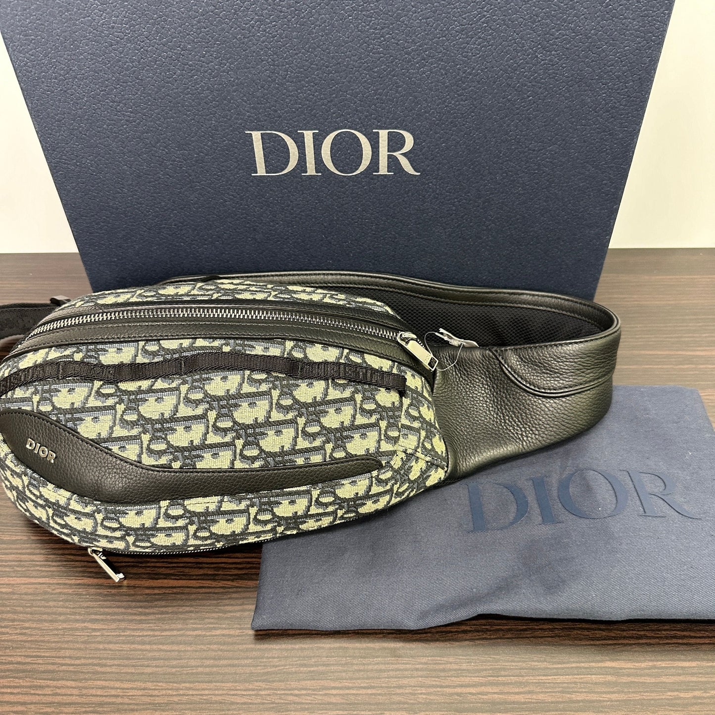 Christian Dior  2010s Scarab Body Bag LB122460