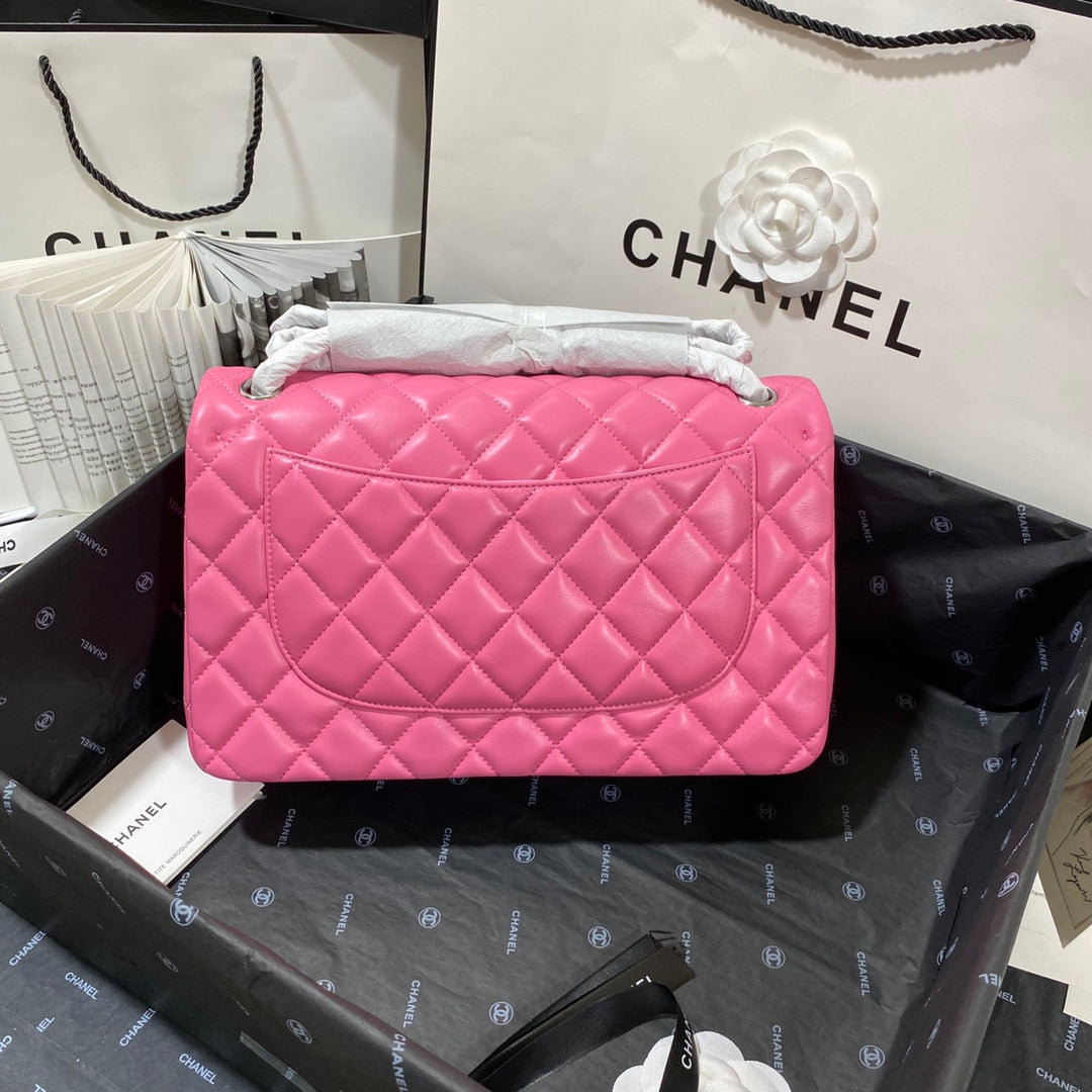 CHLLarge Classic Handbag Silver Hardware PiNike For Women Handbags, Shoulder Bags 11.8in/30cm