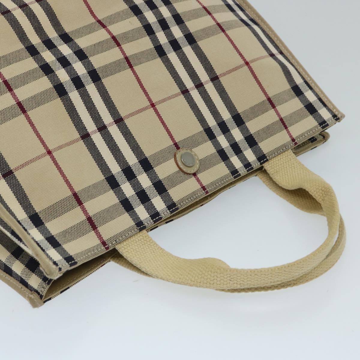 Burberry Ho  Check HandBag