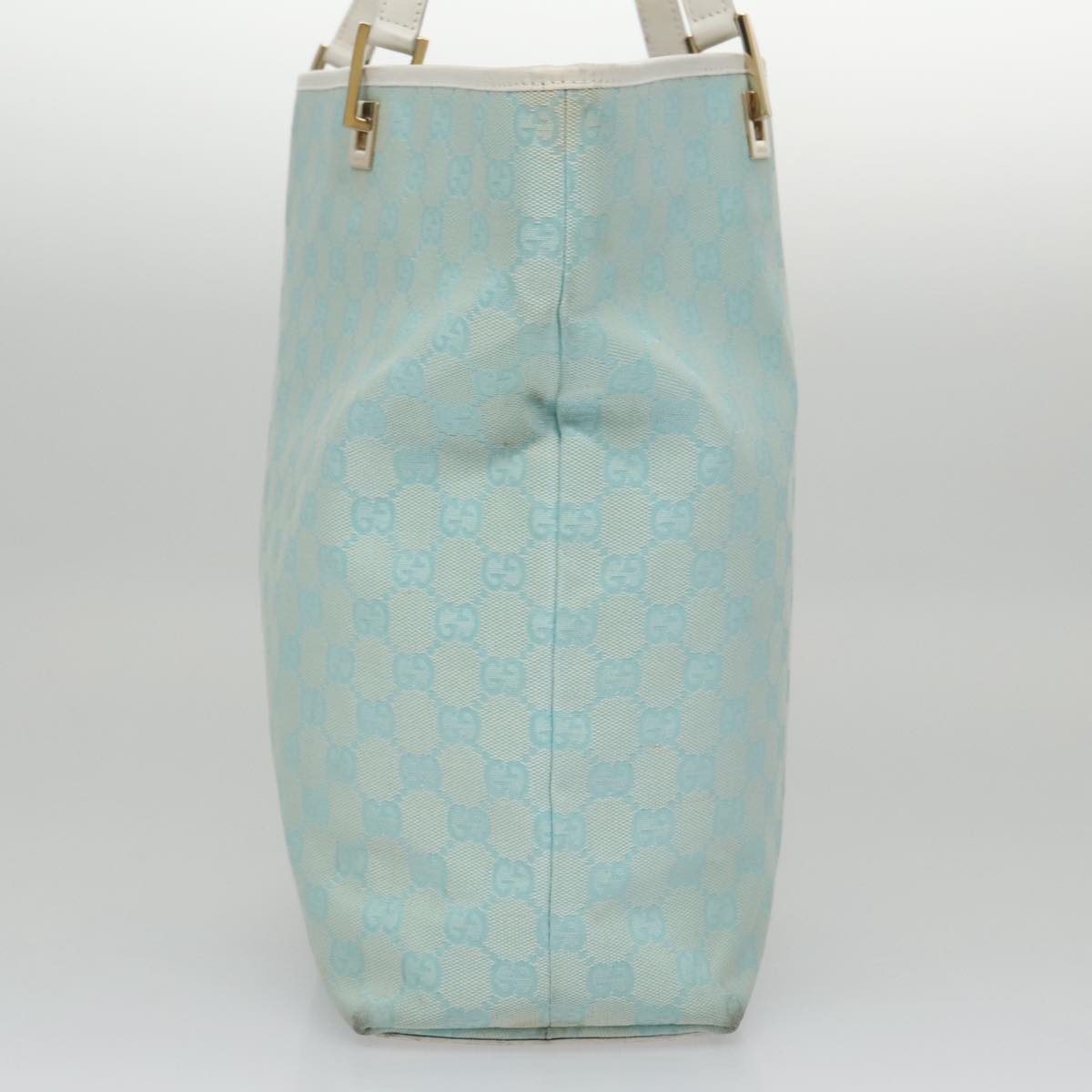 Gucci GG canvas