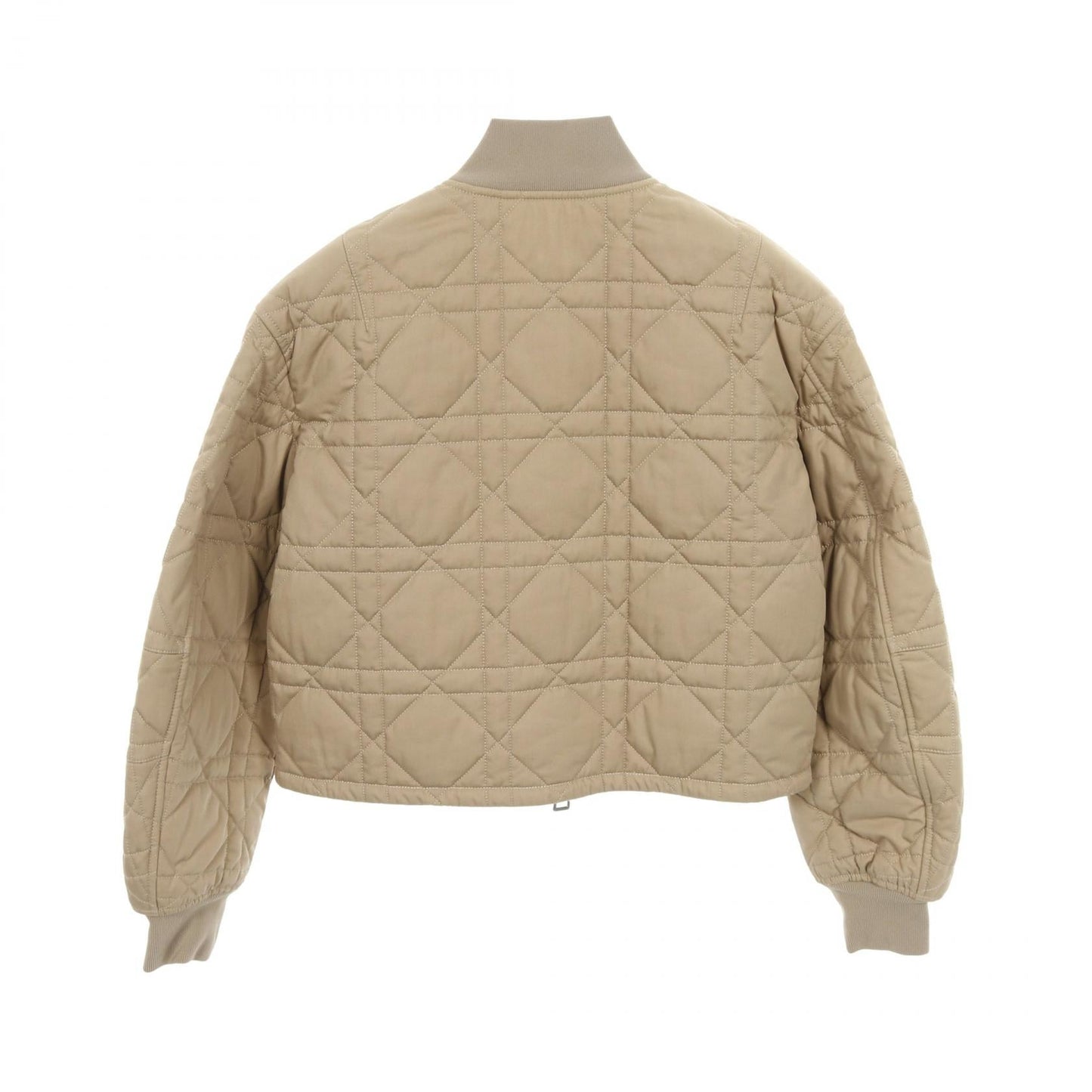 Dior Macro Cannage BEE Embroidery Cotton Outerwear