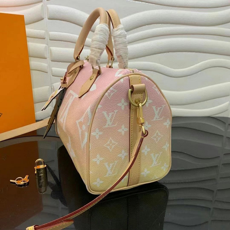 Louis Vuitton Luxury Bags 2524