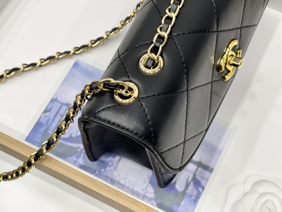 EN - New 1:1 rep  Top Quality CHL Bag 249
