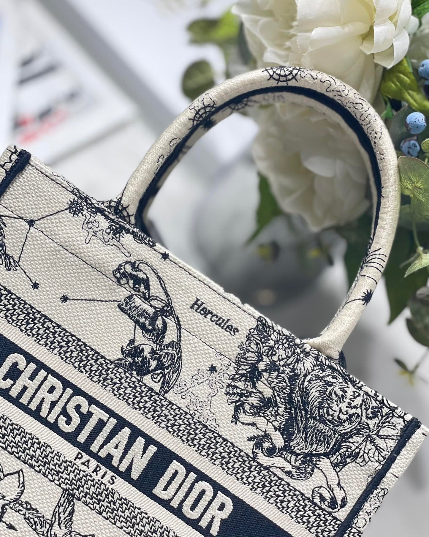 Top Quality Small Book Tote White, For Women, Womens Handbags 26.5cm/10.5in CD M1265ZRHZ_M941