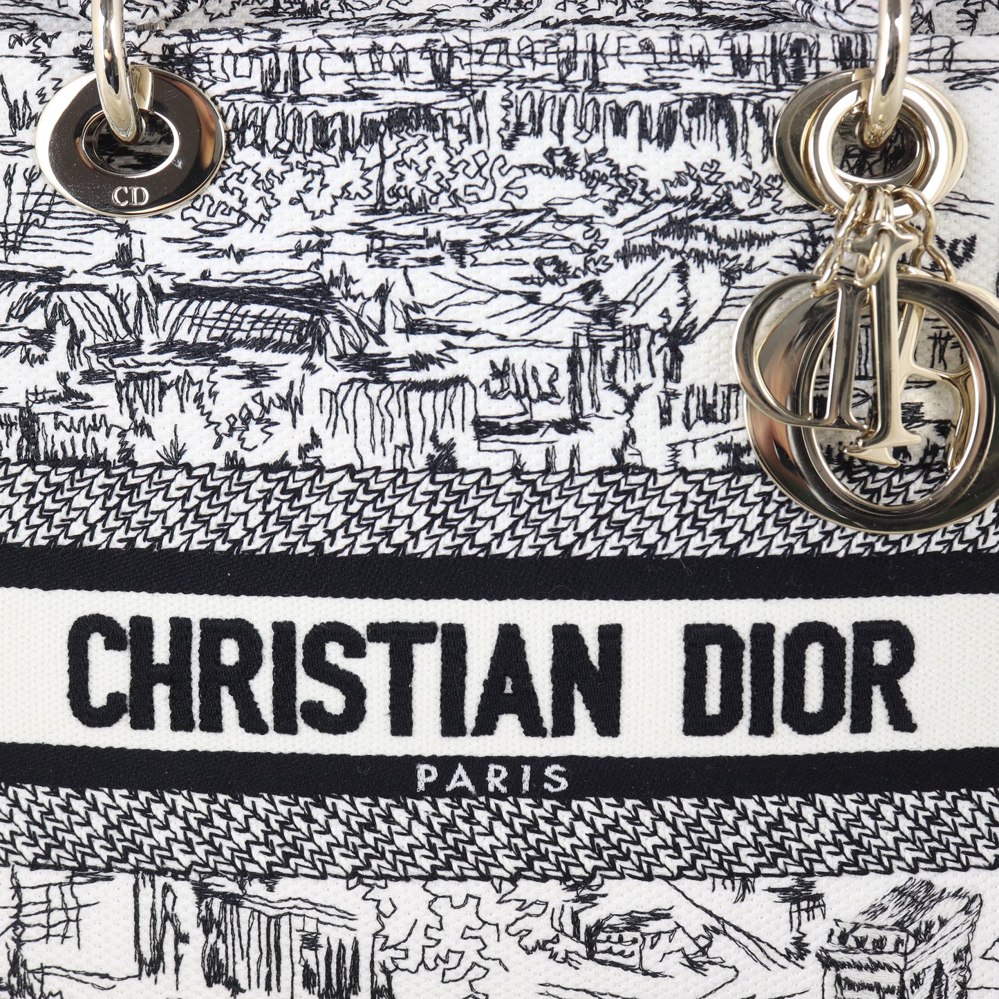 Dior Lady D-Lite Medium