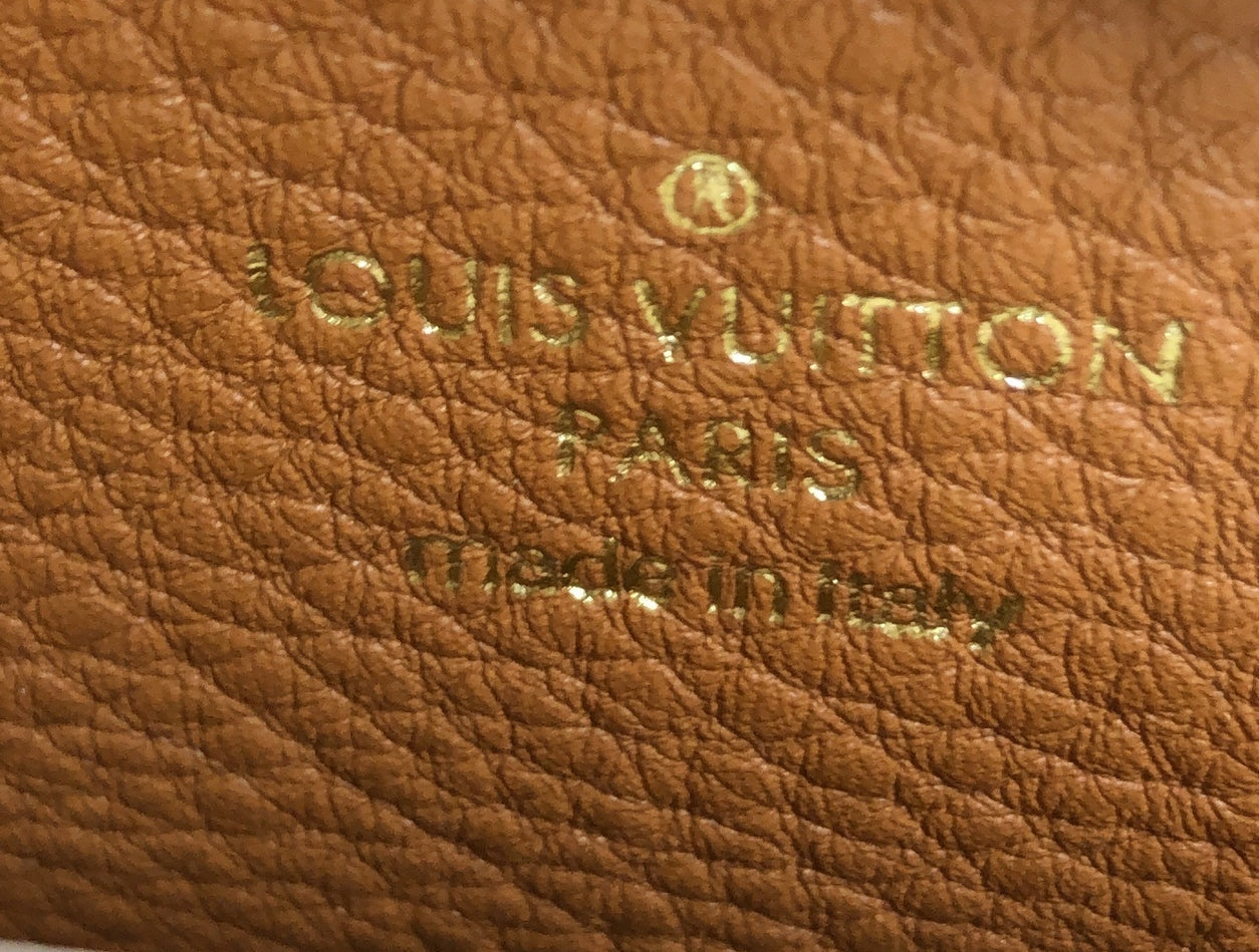 Louis Vuitton LV Pont 9 Soft Bag Leather PM