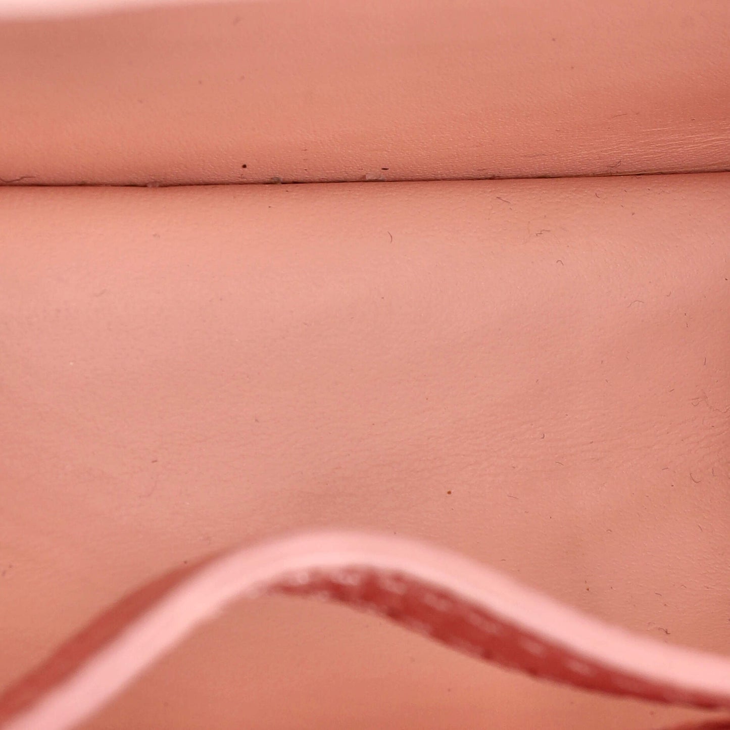Louis Vuitton Capucines Bag Leather Mini
