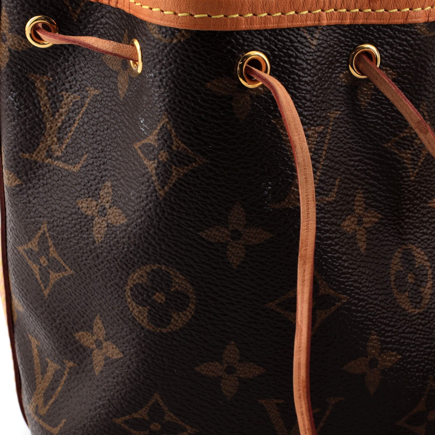 Louis Vuitton Noe Handbag Monogram Canvas Nano