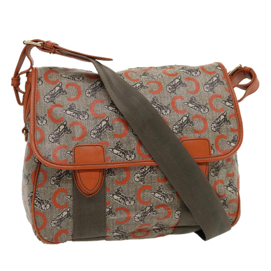 Luxury CELINE C Macadam Canvas Shoulder Bag Coated Canvas Orange  29764