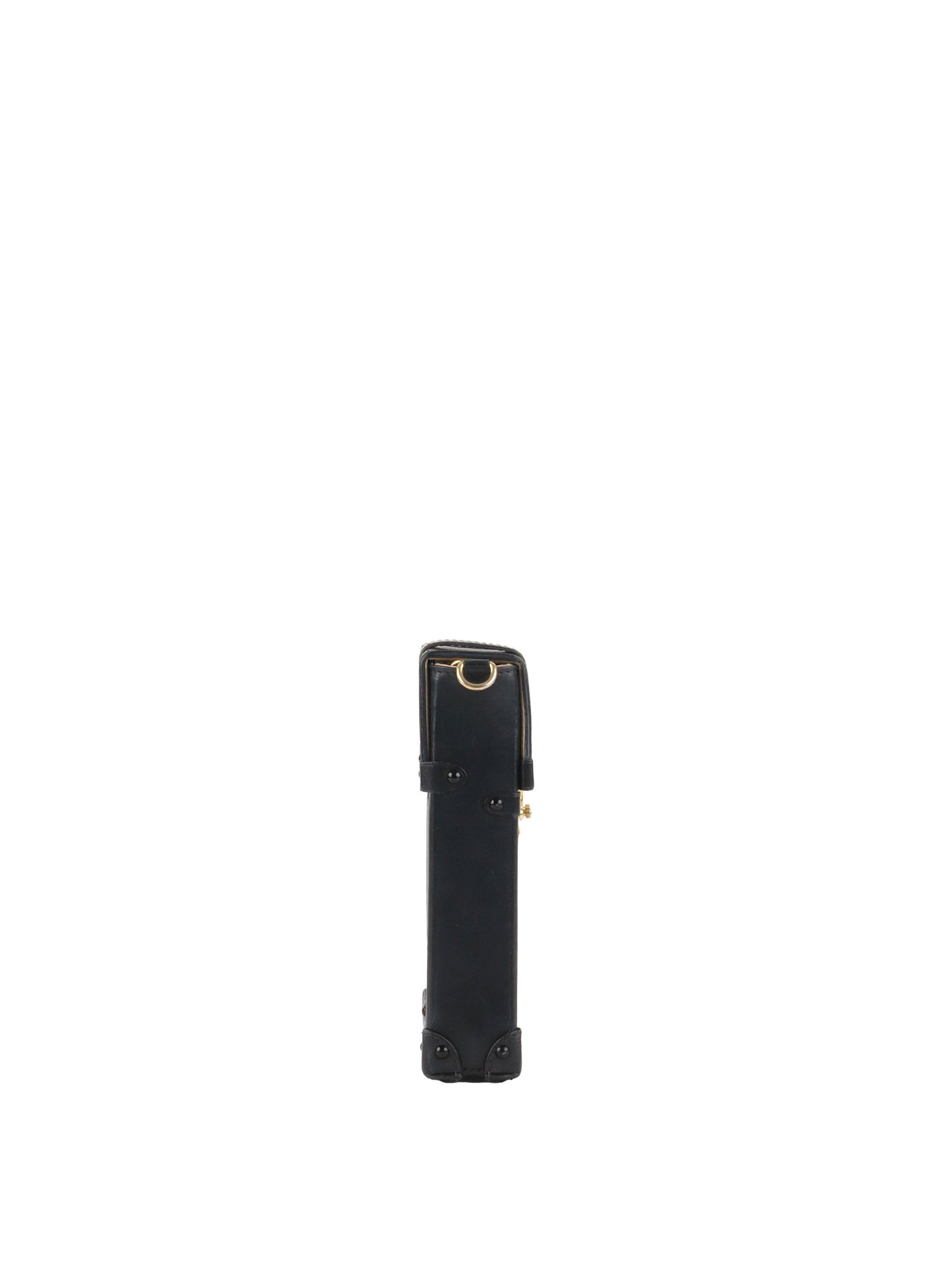 Louis Vuitton monogram Vertical Trunk Pochette.