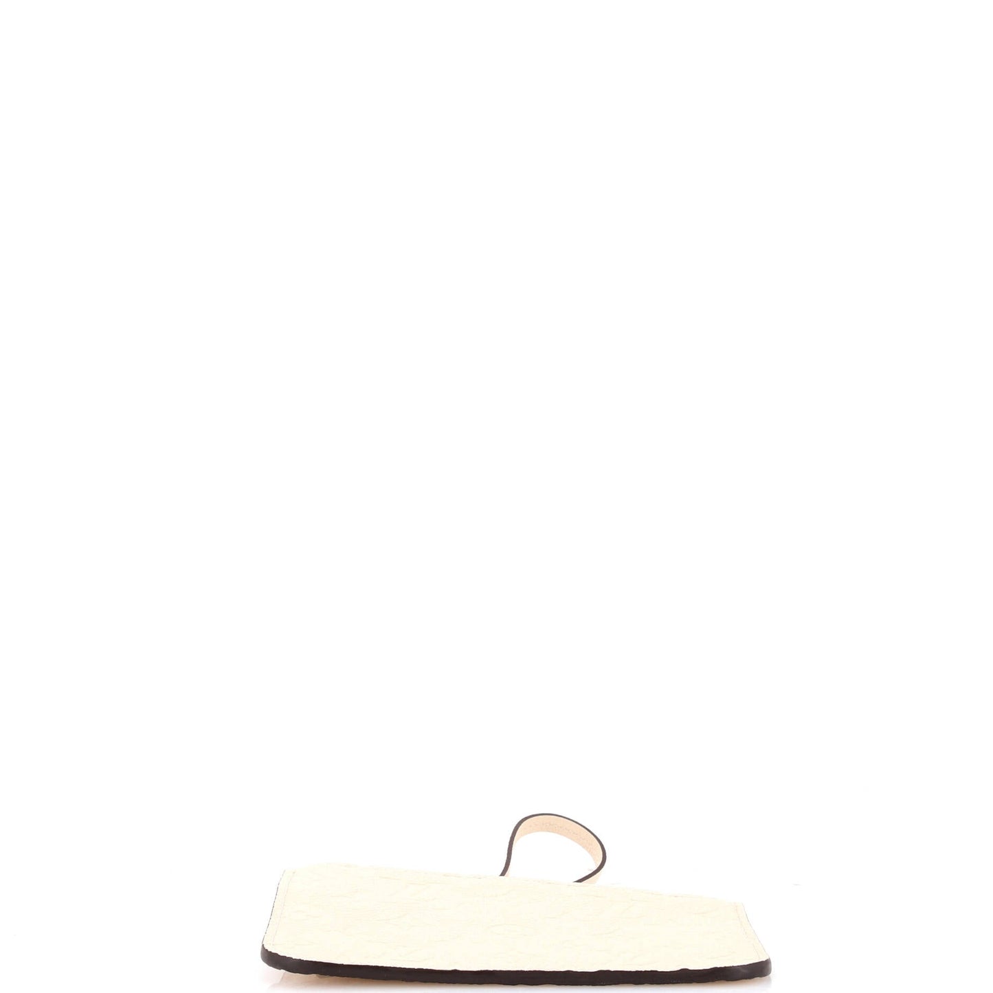 Louis Vuitton Loop Hobo Pouch Monogram Canvas