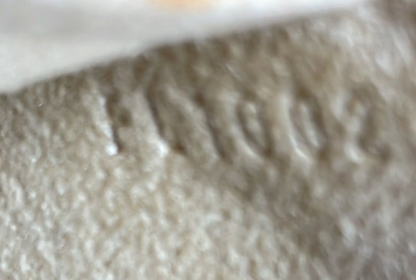 Louis Vuitton Florentine Waist Bag Monogram Canvas