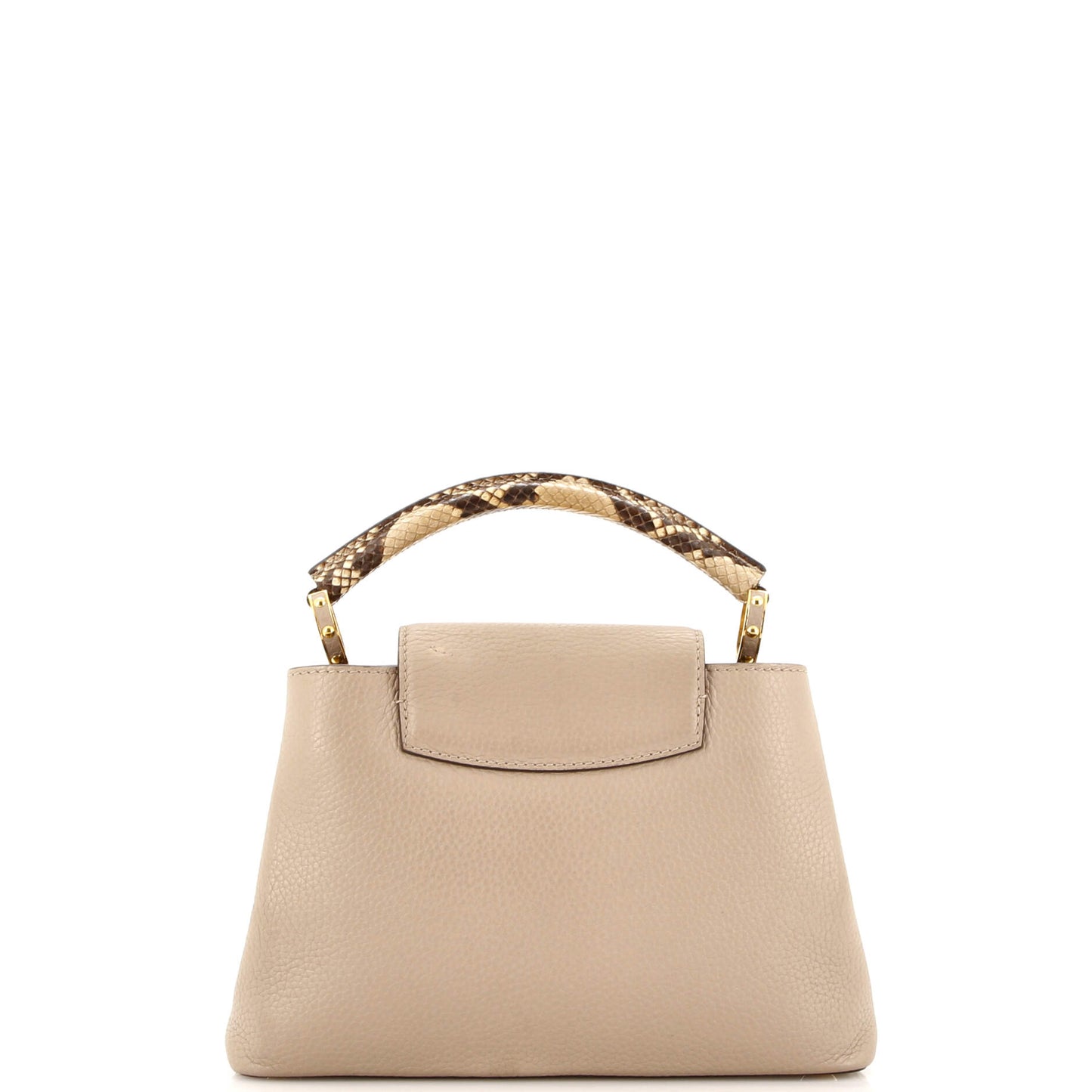 Louis Vuitton Capucines Bag Leather with Python BB
