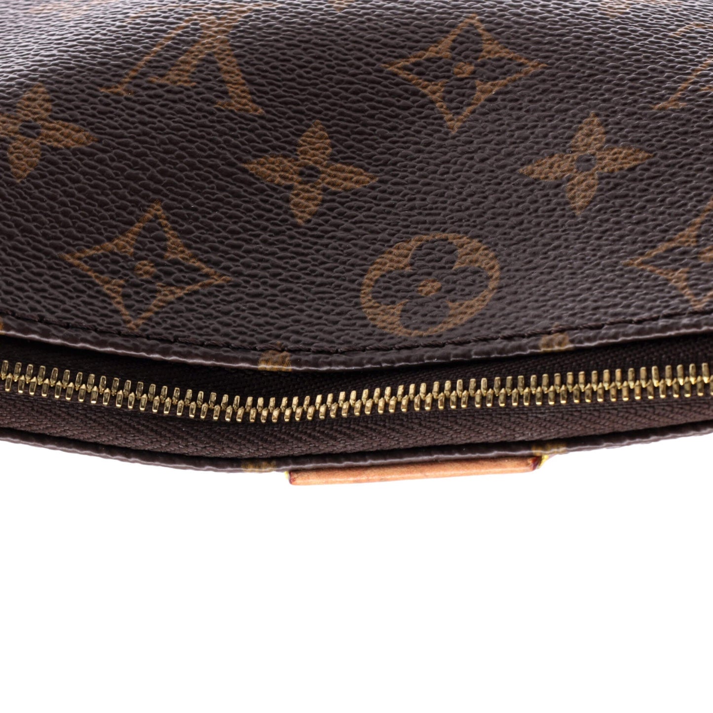 Louis Vuitton Multi Pochette Accessoires Monogram Canvas