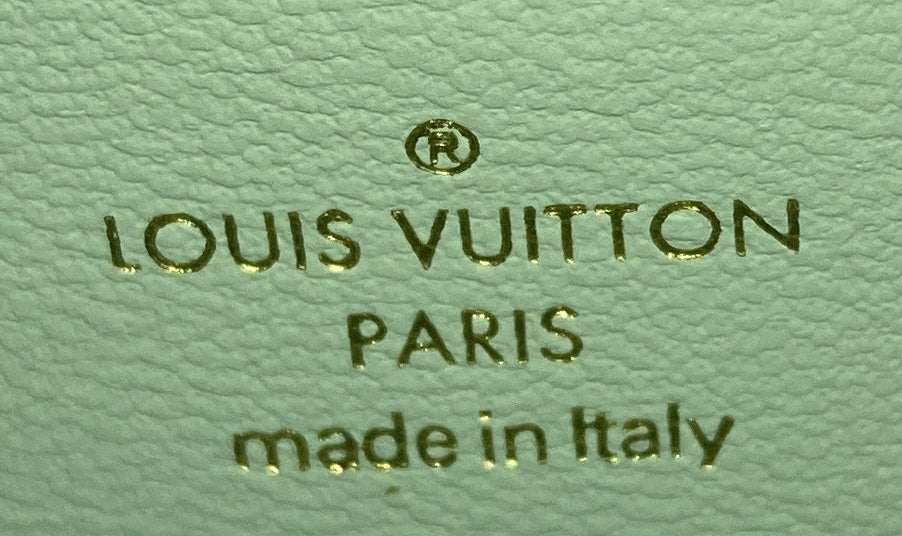 Louis Vuitton Wallet on Strap Bubblegram Leather