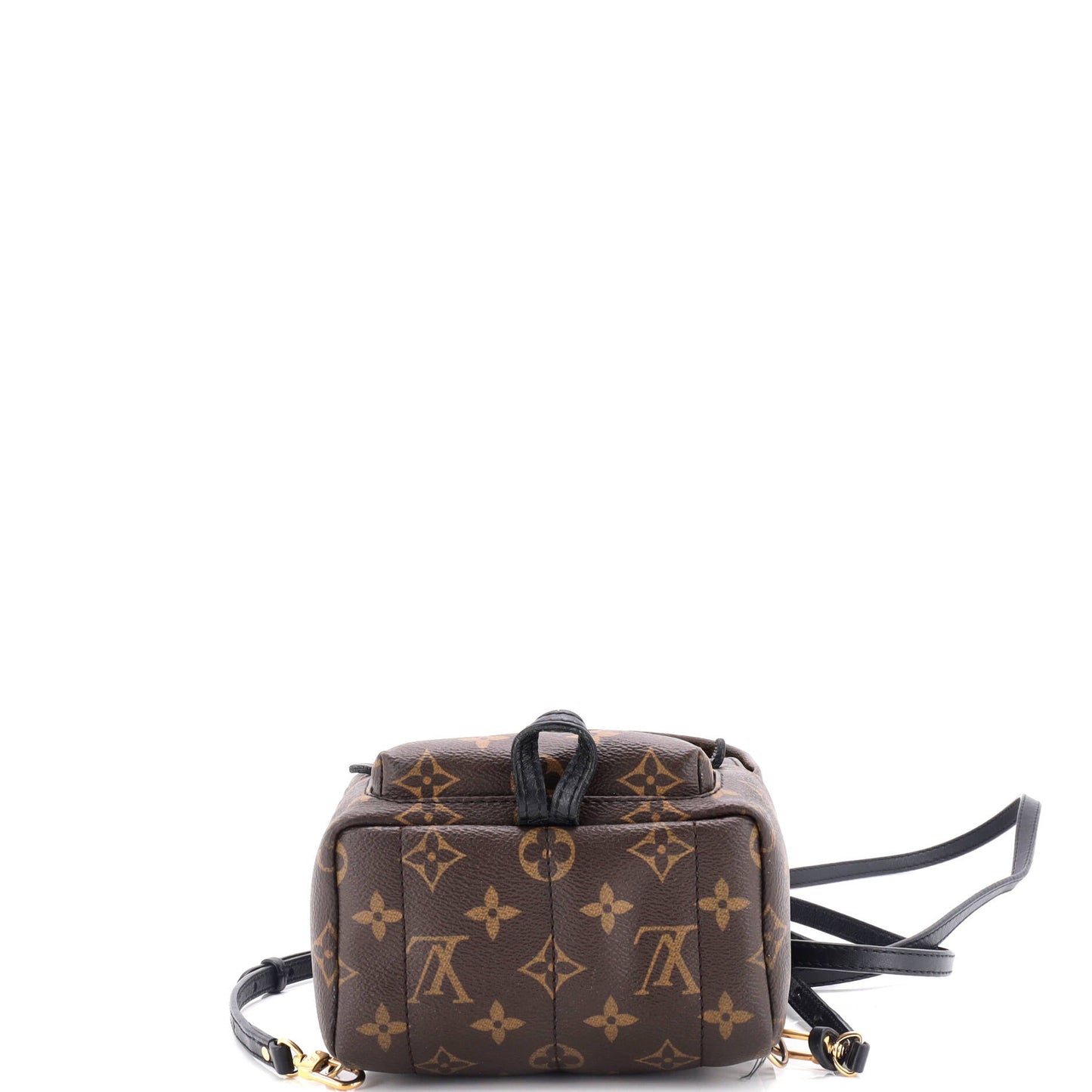 Louis Vuitton Palm Springs Backpack Monogram Canvas Mini