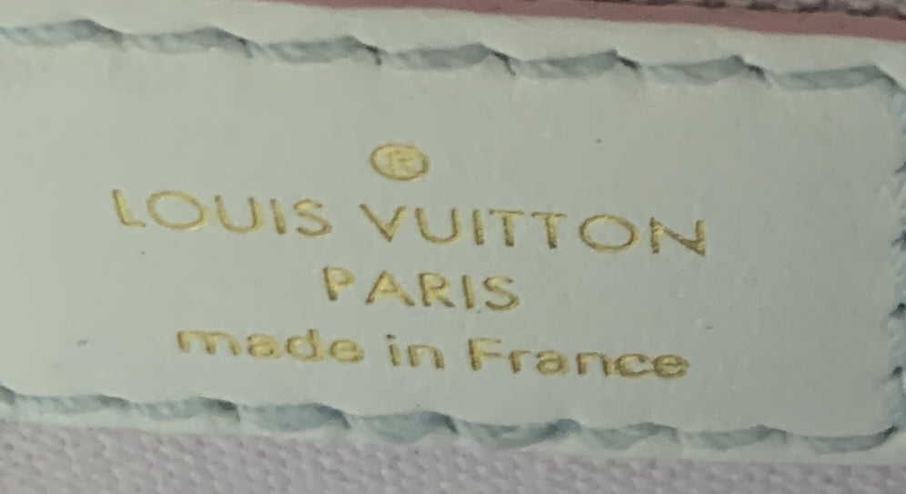 Louis Vuitton Petit Sac Plat Bag Spring in the City Monogram Giant Canvas