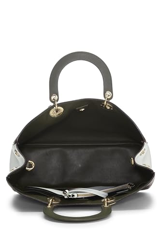 Dior,  Multicolor Leather Diorissimo Large, Multi