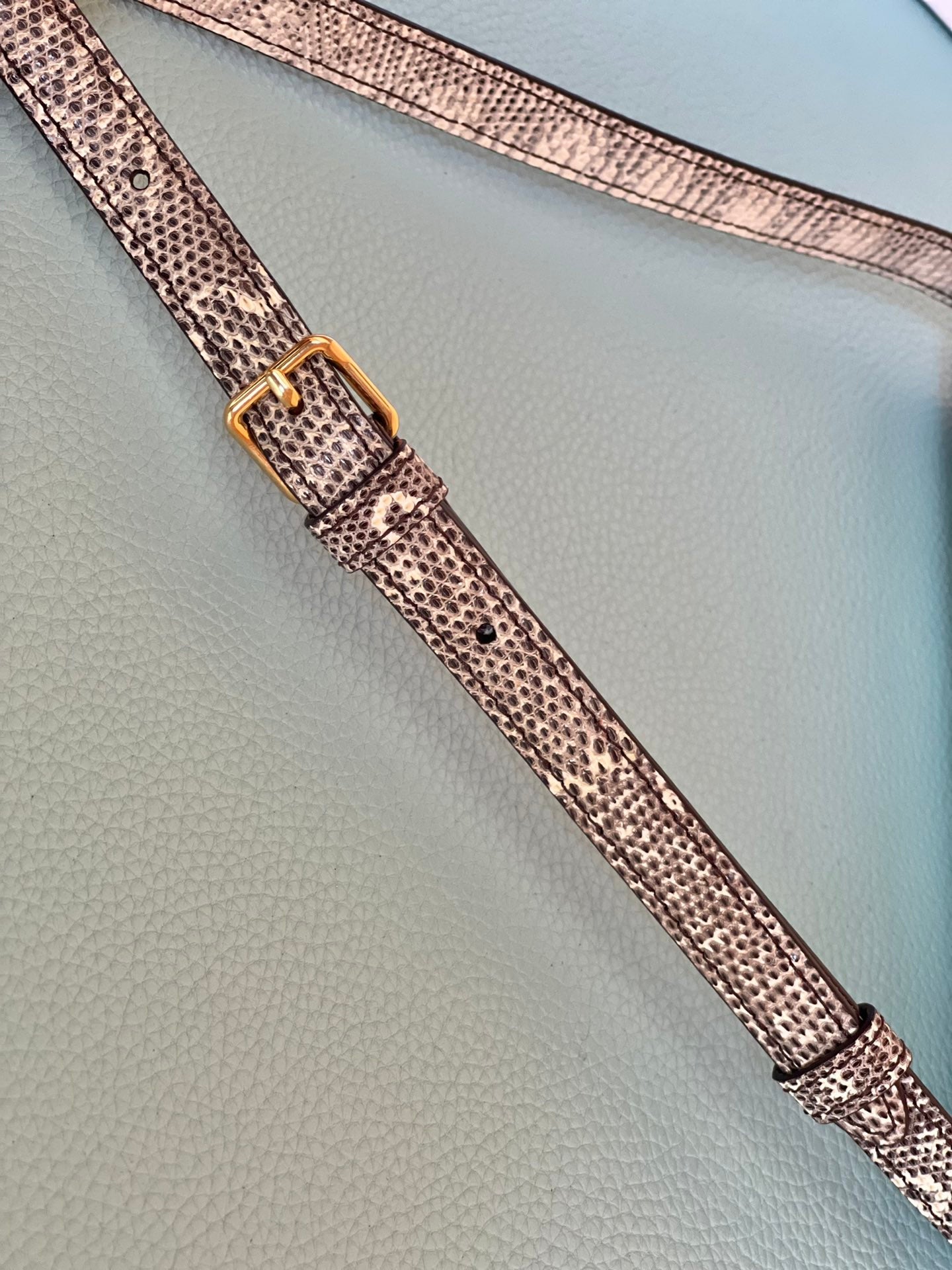 Top Quality Triomphe Shoulder Bag In Lizard Natural For Women 8in/20cm 194144BF5.02VG