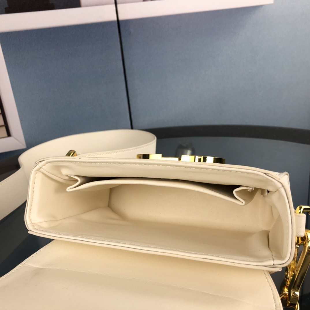 Luxury Handbags Christian Dior 243