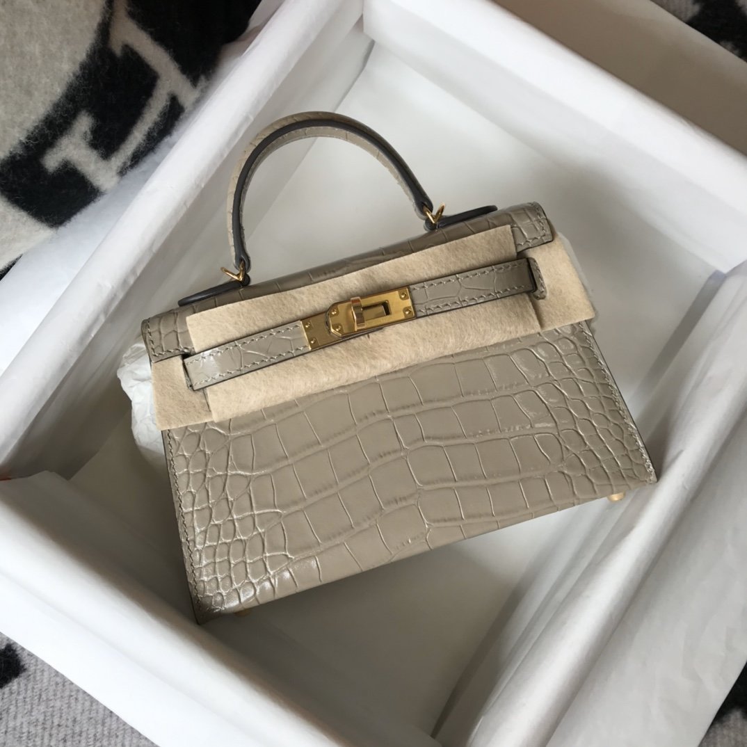 Top Quality Mini Kelly 19 Embossed Patent Light Grey Bag With Gold-Toned Harware For Women, Handbags, Shoulder Bags 7.5in/19cm