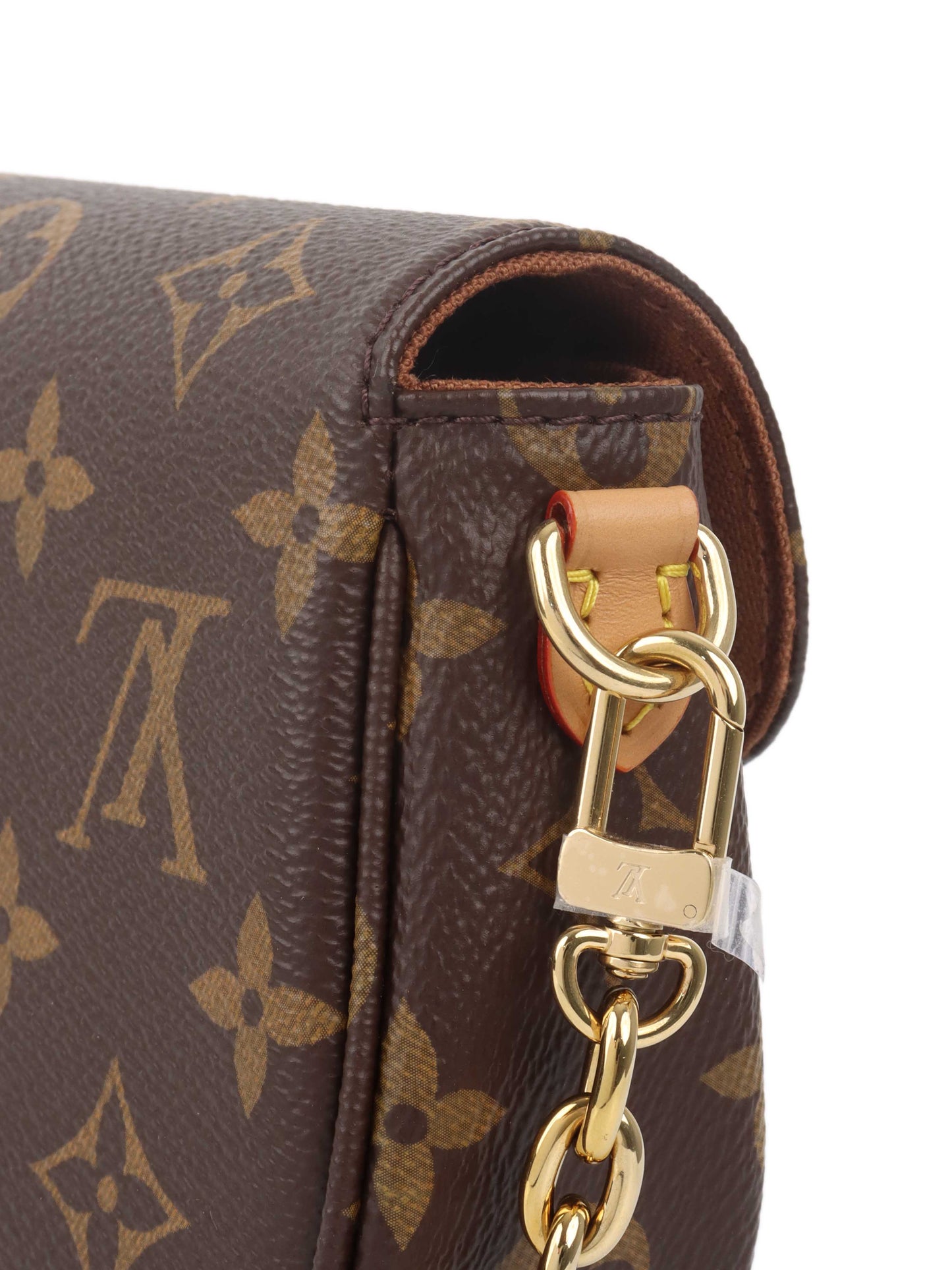 Louis Vuitton Ivy Wallet on Chain.