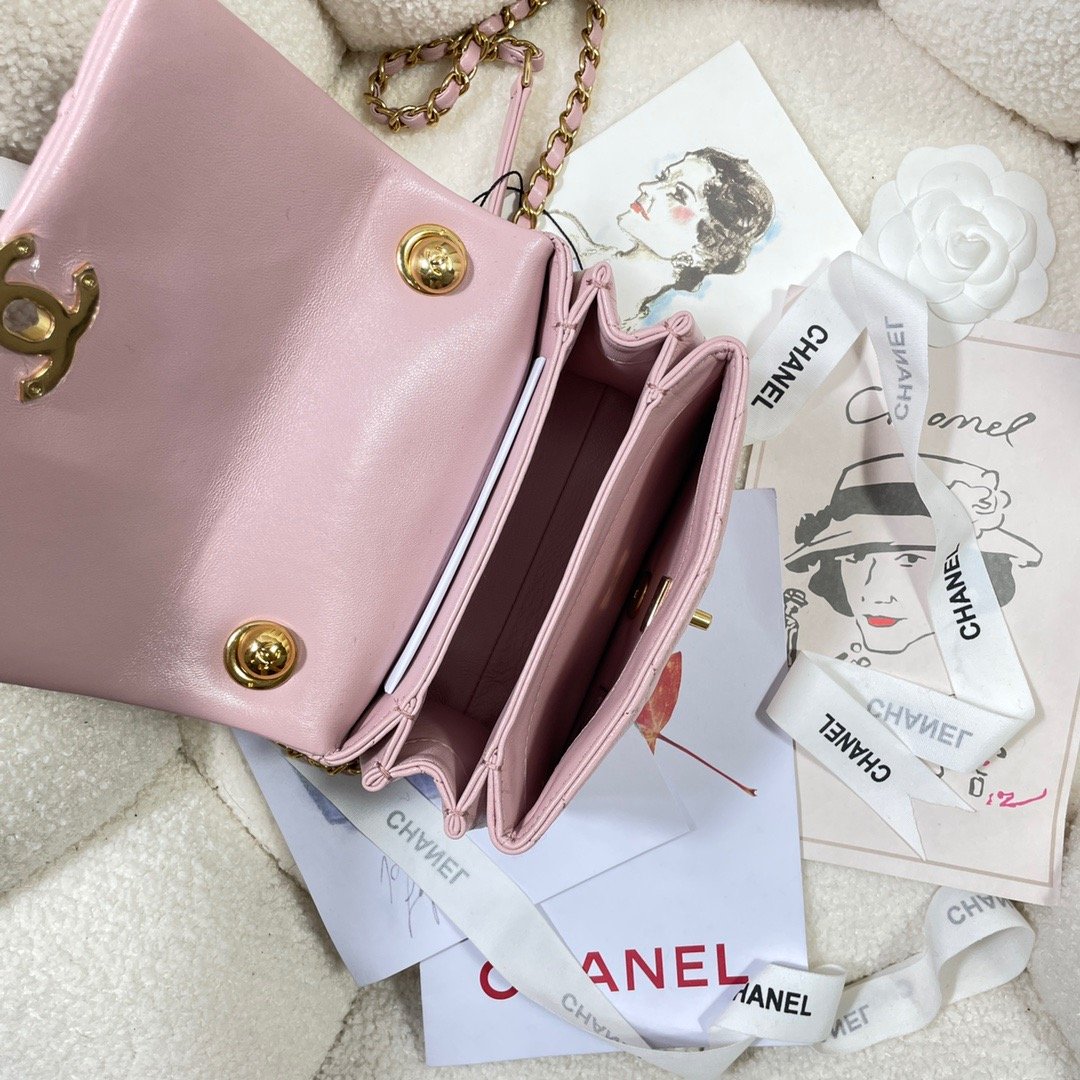 CHLMini Top Qualityap Bag Gold Hardware PiNike For Women Handbags, Shoulder Bags 6.7in/17cm AS3365