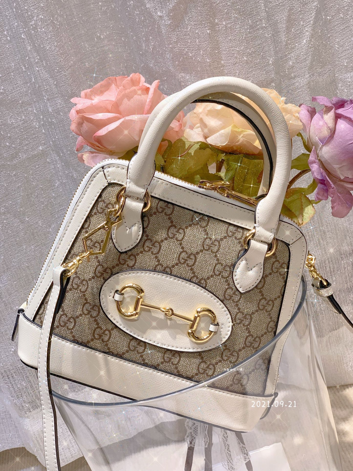 EN - New 1:1 rep Bag GCI 450