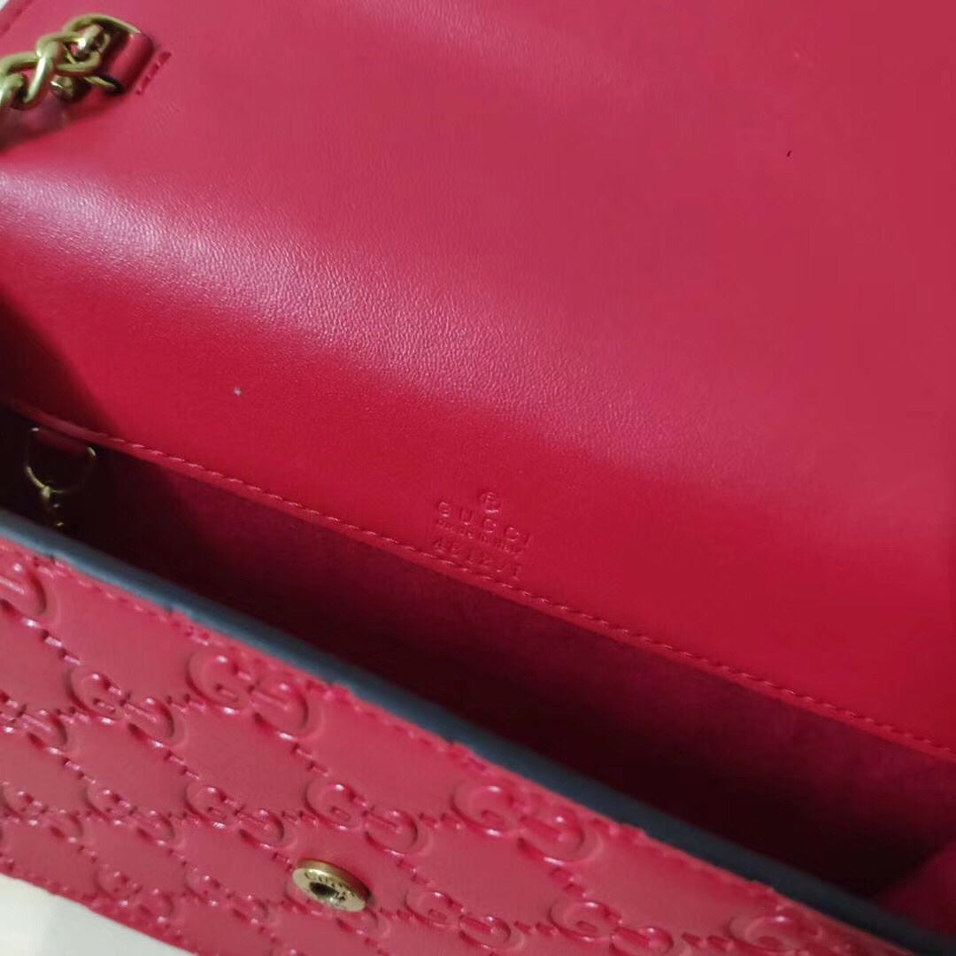 EN - New 1:1 rep Bag GCI 494