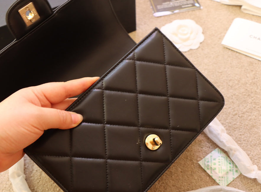 EN - New 1:1 rep  Top Quality CHL Bag 312