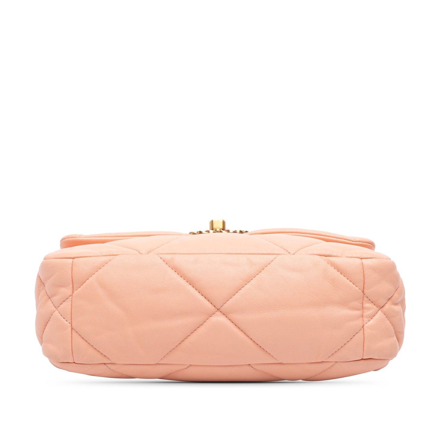 Pink Chanel Medium Lambskin 19 Flap Satchel