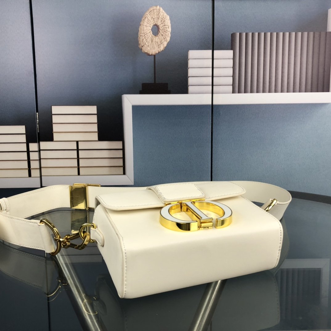 Luxury Handbags Christian Dior 243
