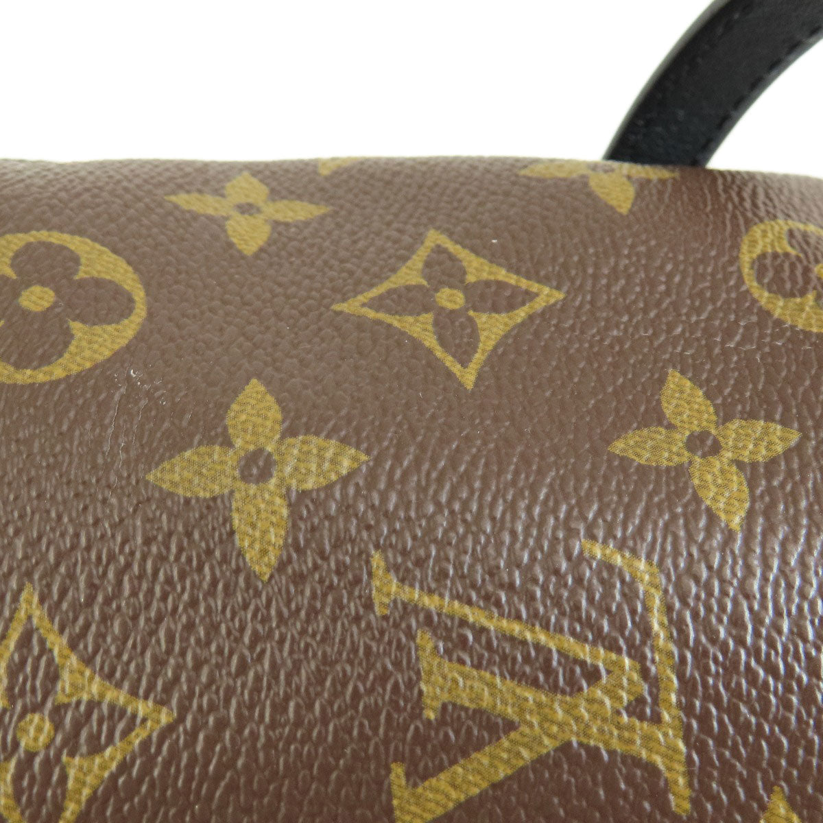 LOUIS VUITTON Backpack M44871 Monogram canvas Brown Palm Springs Monogram Women  d