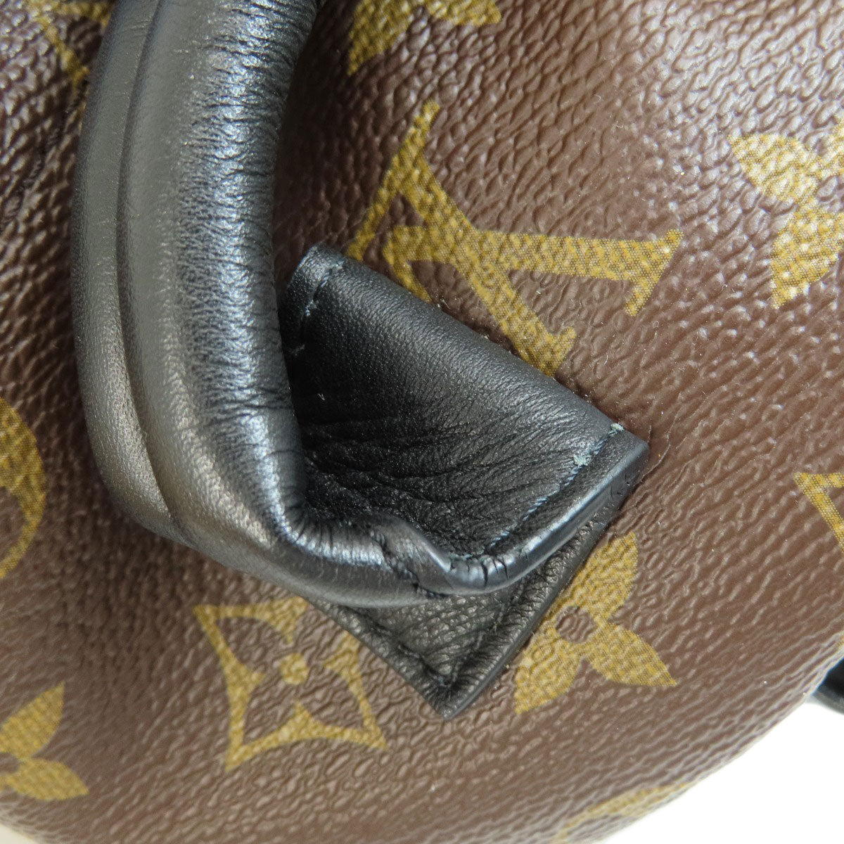 LOUIS VUITTON Backpack M44871 Monogram canvas Brown Palm Springs Monogram Women  d