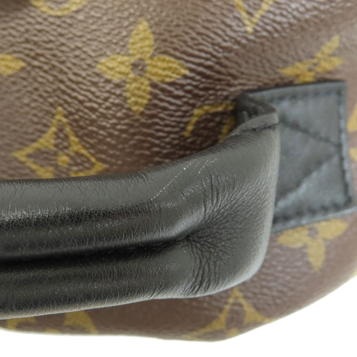 LOUIS VUITTON Backpack M44871 Monogram canvas Brown Palm Springs Monogram Women  d