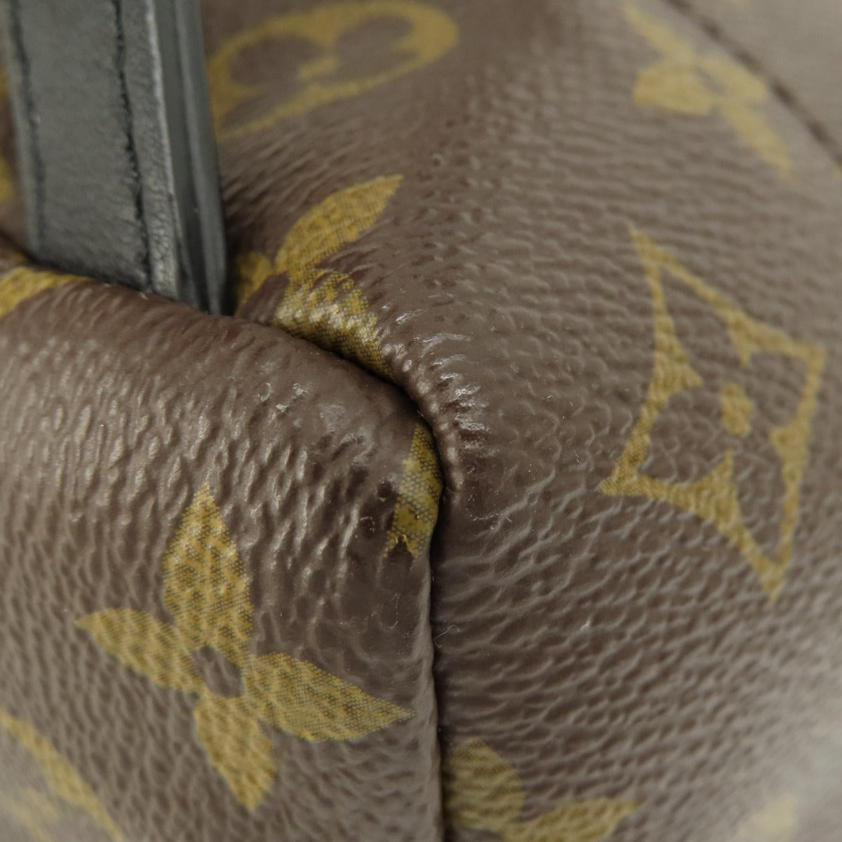 LOUIS VUITTON Backpack M44871 Monogram canvas Brown Palm Springs Monogram Women  d