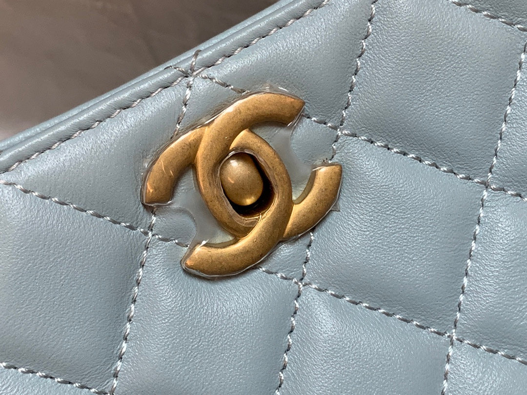 CHLHobo Handbag Light Blue Bag For Women 16cm/6in