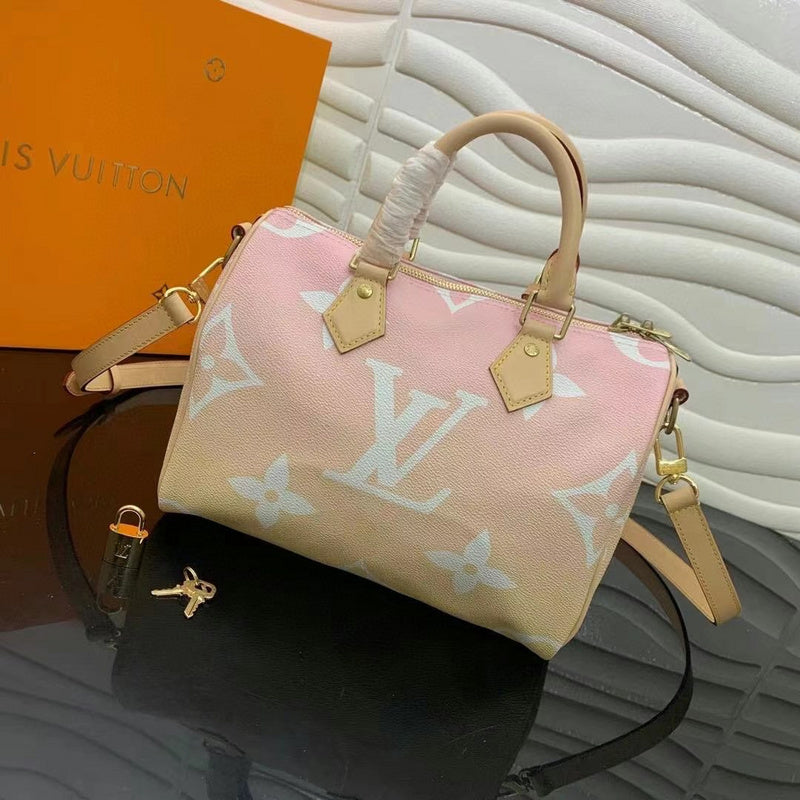 Louis Vuitton Luxury Bags 2524