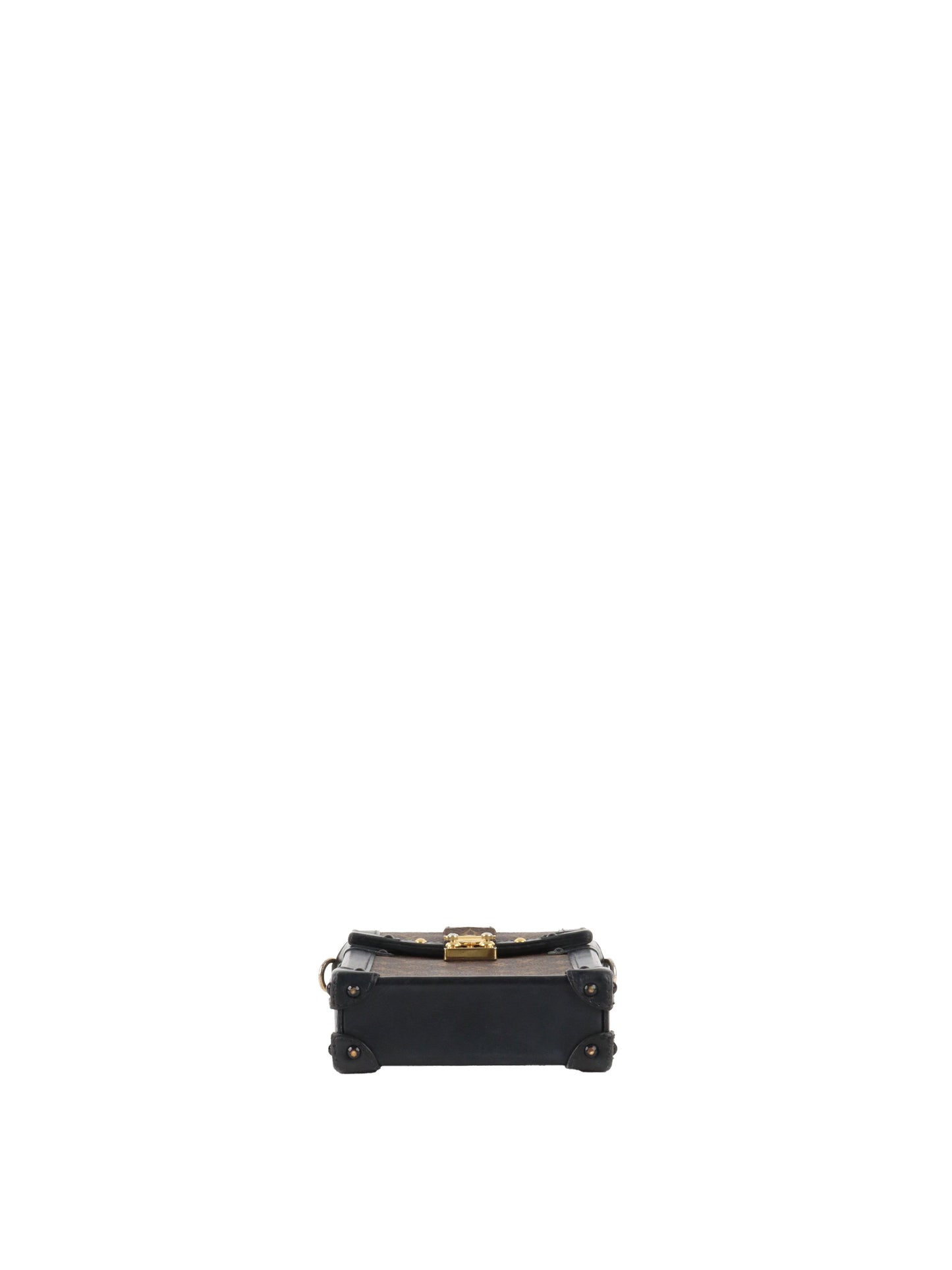 Louis Vuitton monogram Vertical Trunk Pochette.