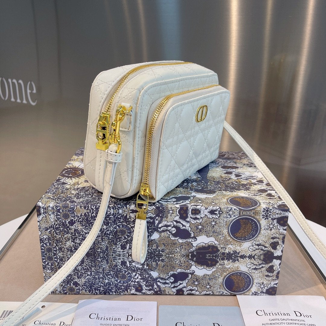 Luxury Handbags Christian Dior 304