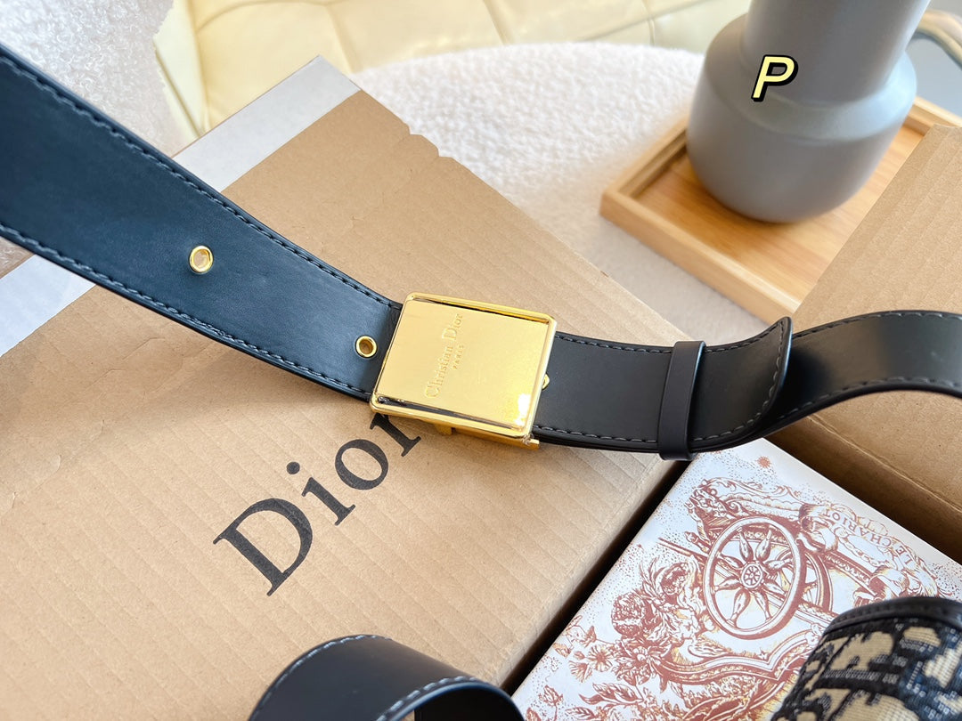 EN - New 1:1 rep Lux Bags DIR 344