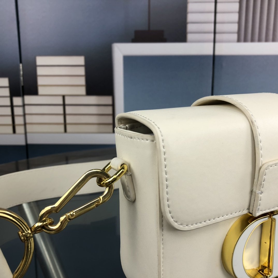 EN - New 1:1 rep  Bags DIR 243