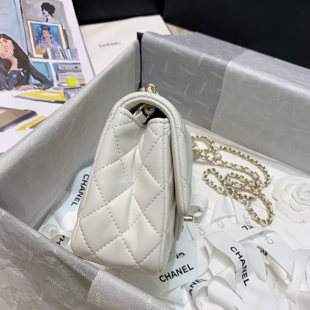EN - New 1:1 rep  Top Quality CHL Bag 172