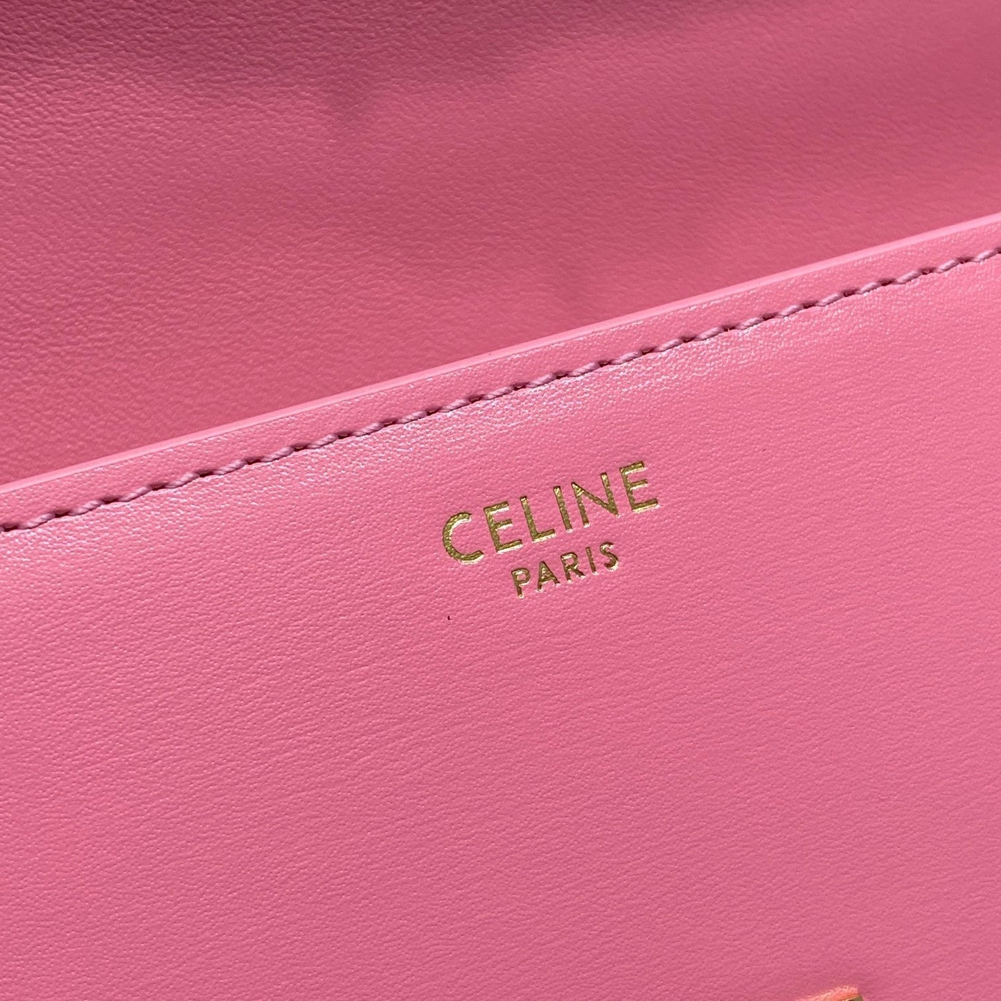 Top Quality Chain Shoulder Bag Triomphe PiNike For Women 8in/20.5cm