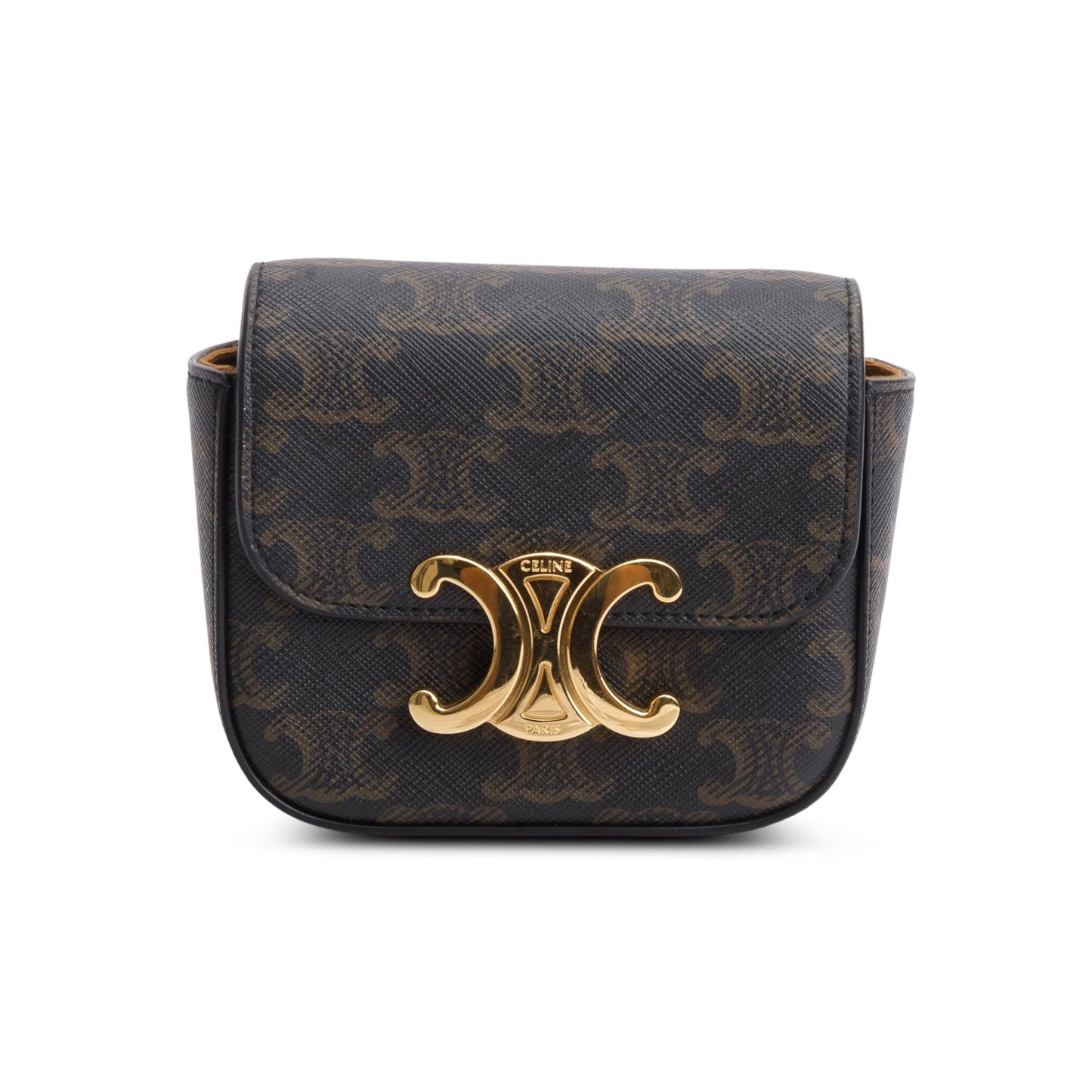 Celine 2022 Triomphe Canvas Calfskin Mini Claude