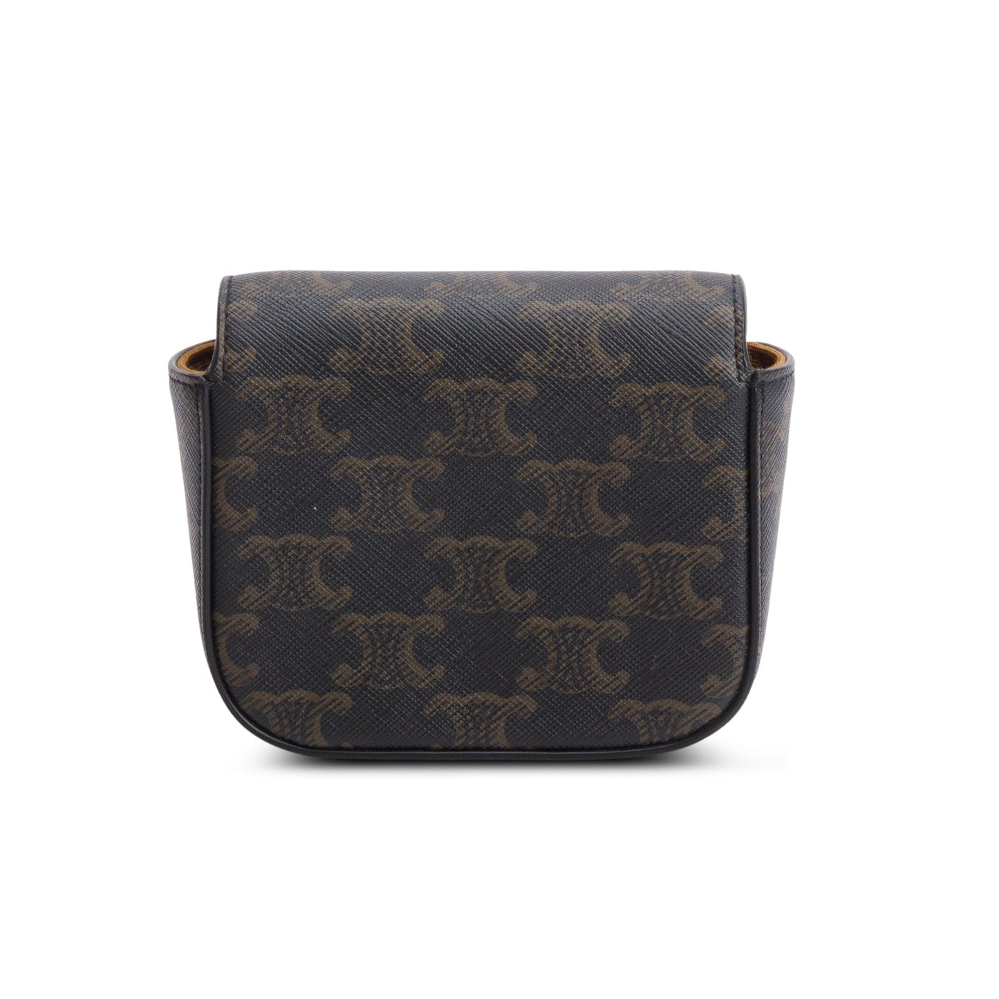 Celine 2022 Triomphe Canvas Calfskin Mini Claude