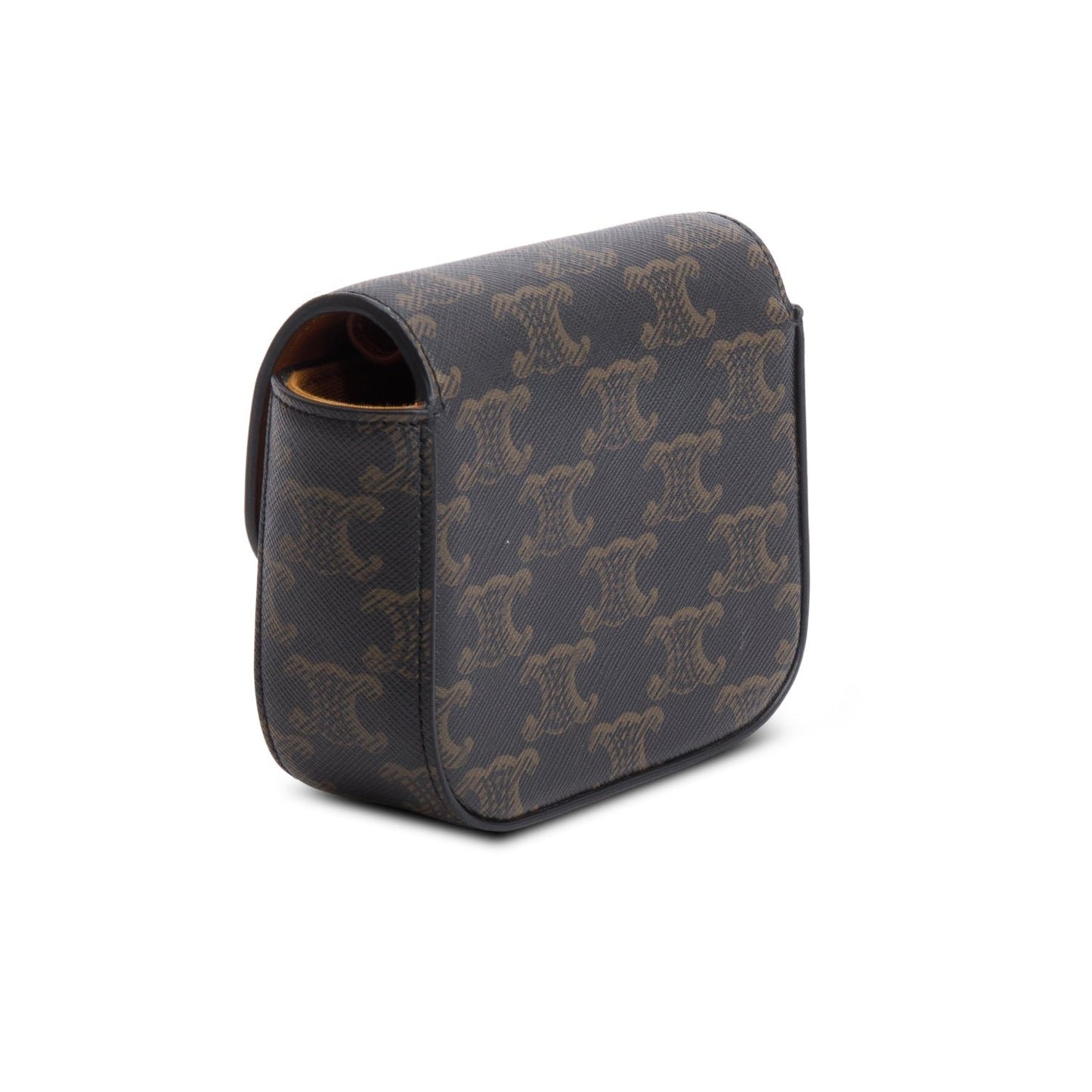 Celine 2022 Triomphe Canvas Calfskin Mini Claude