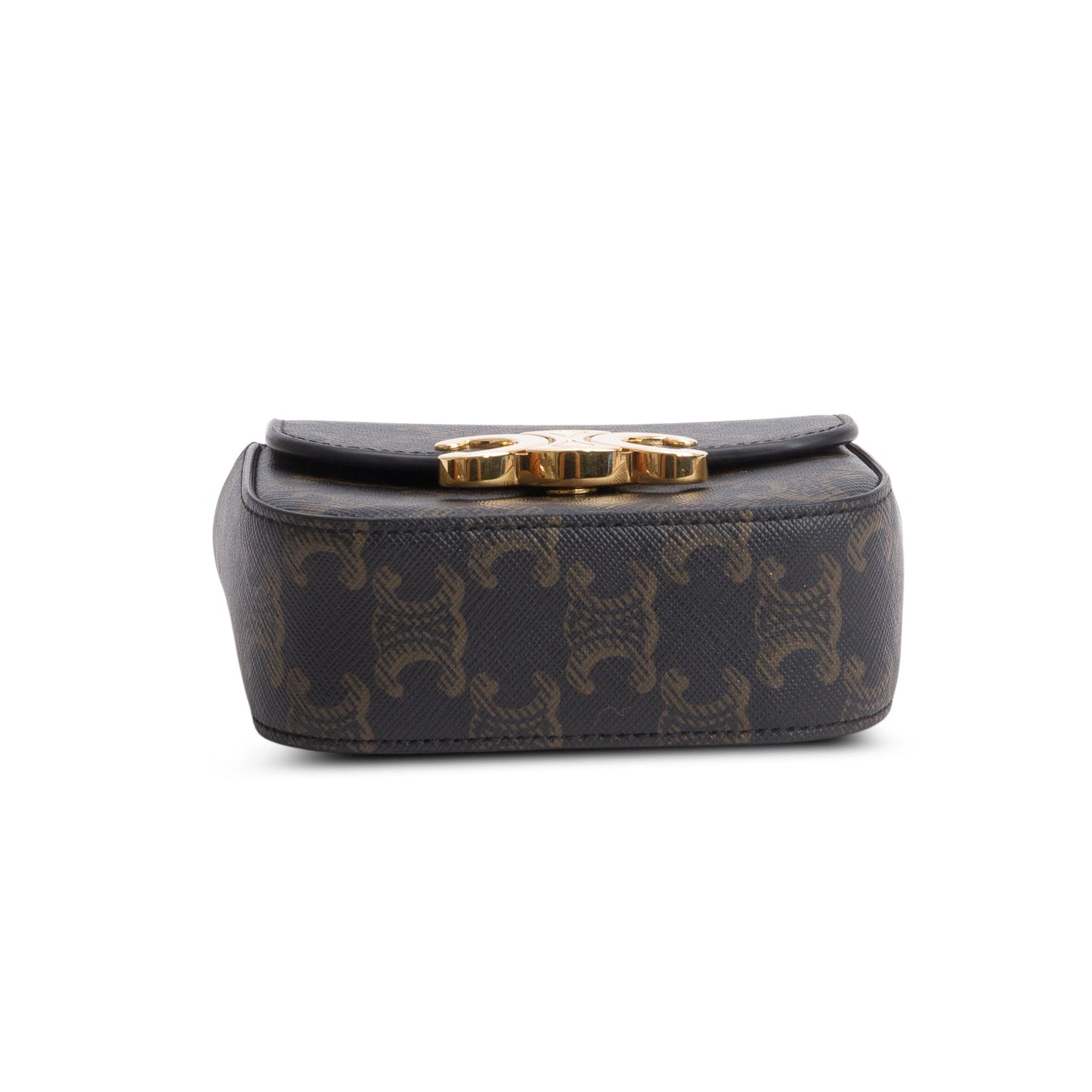 Celine 2022 Triomphe Canvas Calfskin Mini Claude