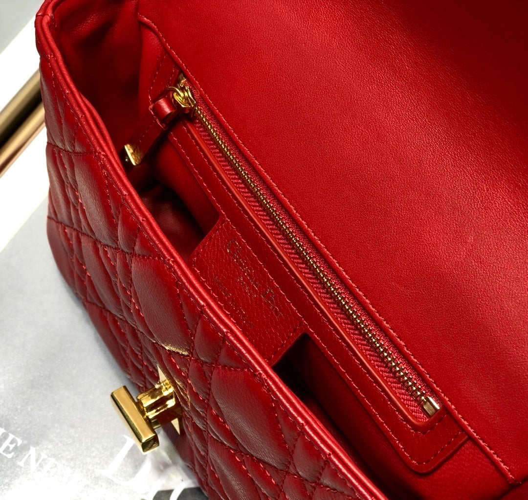 Top Quality Small Caro Bag Red For Women, Womens Handbags, Shoulder Bags, Crossbody Bags 20cm/8in CD