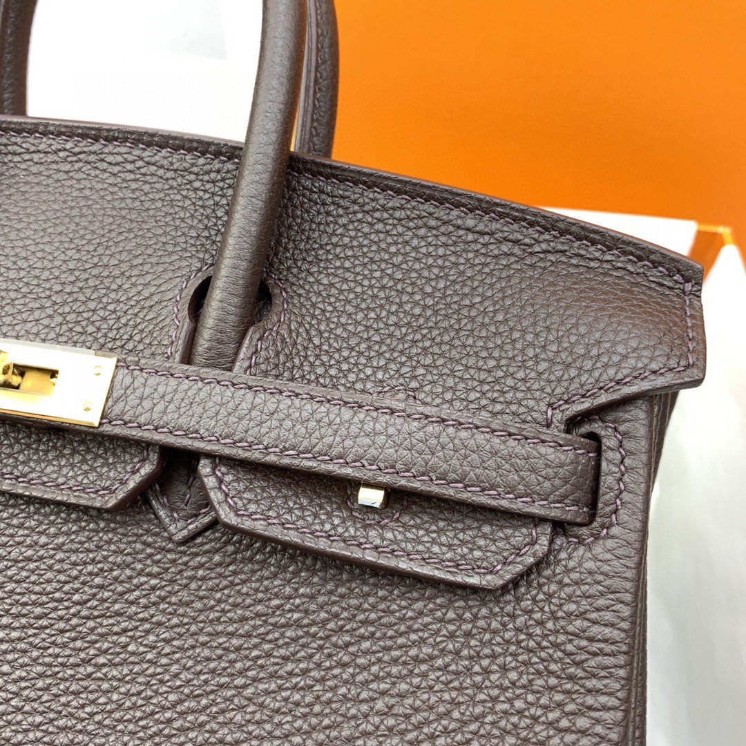Top Quality Birkin Nata Swift Dark Brown For Women Gold Toned Hardware 10in/25cm